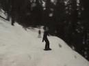 day at bear