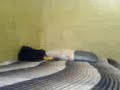 Posando