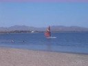 Jerry Windsurfing