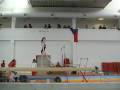 Viki sportovni gymnastika