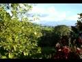 videos de colombia finca video