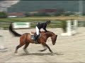 12 | PIBA DEA CABANES | Pferde Auktion Neuendorf 2008 12 | PIBA DEA CABANES | Pferde Auktion Neuendorf 2008