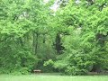 Sárvár Alborétum Sárvár Alborétum