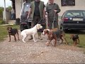 GONICI(ZAGARI)