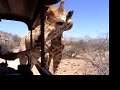 Eli vs Giraffe Eli vs Giraffe