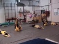 Acrosport River Plate