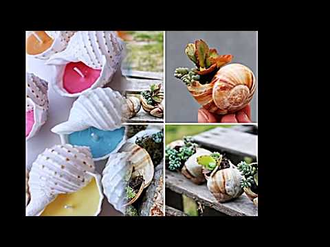 Maritime Deko mit Muscheln selber machen -- 15 Bastelideen