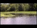 Cruising the St. John's River