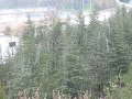spring and snow spring and snow