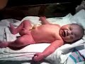 josiah weighed  measured