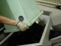 The young Hugels working on their Pinot Noirs