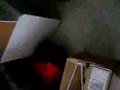 Messing Up Geoffrey's House