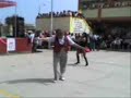 El Baile del Gavilan (Cole 2022)