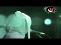 morangos assassinos -mundo animal ao vivo!
