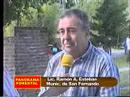 el panorama forestal  18 11 07 2/3