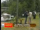 el panorama forestal  18 11 07 2/3