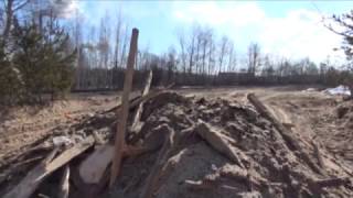 Кто не соблюдает законы нашего города?