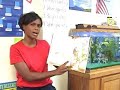 \"The Story of Ruby Bridges\" by Robert Coles \"The Story of Ruby Bridges\" by Robert Coles
