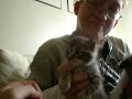 Cophers Kittehs