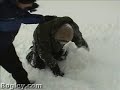 Snow Tubing and Sledding in the Uintas