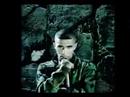 Die Show von Bushido Die Show von Bushido