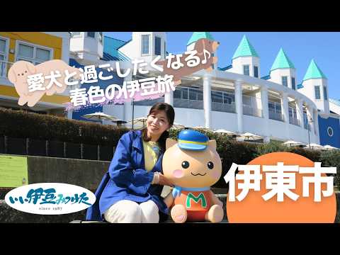 <br />
<b>Warning</b>:  Undefined property: Custom_Field_Suite::$get in <b>/home/xb588889/ikctv.com/public_html/main/wp-content/themes/IKCTV_Theme/parts/parts-archivecard_movie.php</b> on line <b>7</b><br />
<br />
<b>Warning</b>:  Trying to access array offset on null in <b>/home/xb588889/ikctv.com/public_html/main/wp-content/themes/IKCTV_Theme/parts/parts-archivecard_movie.php</b> on line <b>7</b><br />
