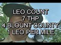 thp at the tail of the dragon   deals gap