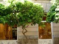 Colegio de Arquitectos /video 06/ Colegio de Arquitectos /video 06/