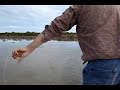 Saltwater Fly Fishing for Redfish