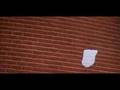 Flying Bag - American Beauty