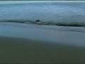 Kiarostami on making of Five