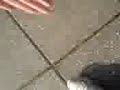 muddy shoes