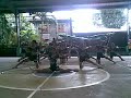 ACLC Green Team Equalizers Pep Squad - Champion!!!