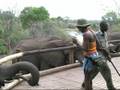 Elephant interaction session - Zimbabwe