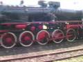 Wolsztyn 03.05.2008 Ty2-911 z pociągiem retro