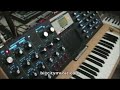 zvex box of metal processing minimoog voyager