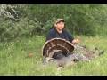 Ver Video