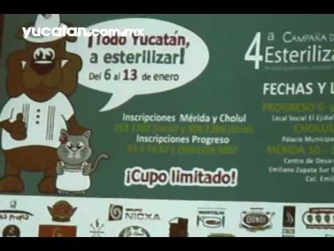 Imagen de previsualización de YouTube