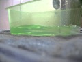 blow bubbels