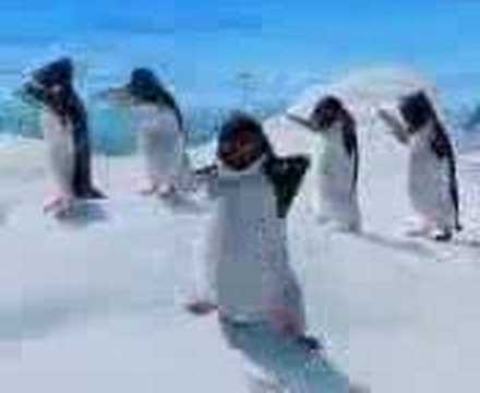 TAMIL CARTOON SONG 02
