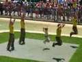 Bindi Irwin & Crocmen Perform at Australia Zoo!
