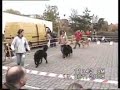 KWH po.wmv KWH po.wmv