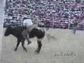 Jaripeo en la Catedral del Jaripeo, el día 27 enero 2008