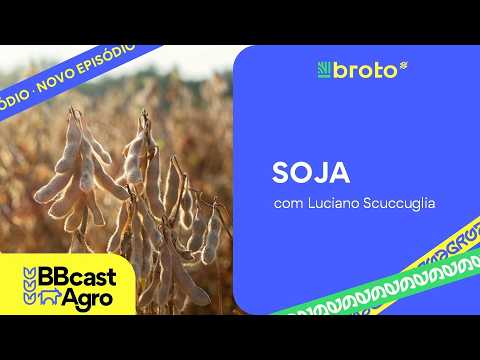 Soja: clima nos EUA e dólar sustentam o mercado brasileiro | BBCast Agro - 07/08/2026