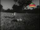 ntr climax fight in ntr deesha