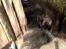 Fat Face Time In Motion - Urban Mountain Biking