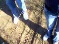Tass Liberty stuck in the mud 