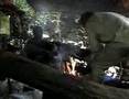 Gabon, Mont Songo, Pancake In The Forest
