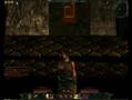 Age of Conan Female Emotes