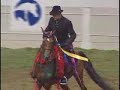 2008 US National English Pleasure Jr. Horse Vegaz